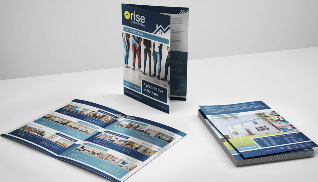 RISE-brochure